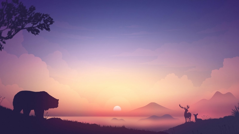sunset, mammal, tranquil scene, landscape, people, mountain, cloud - sky, men, lifestyles, environment, dawn, bear, sunrise, foggy, scenics - nature, standing