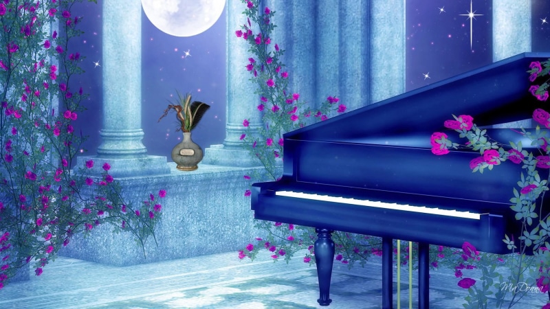 moon, moonlight, 1080P, vase, music, roses, 3d and abstract, piano, flowers