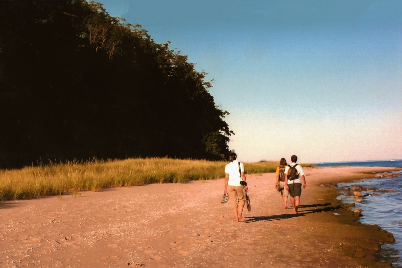 men, trees, three, two, walking, summer, standing, mid adult, real people, two people, beauty in nature, sea, People, seashore, rear view, lifestyles, positive emotion