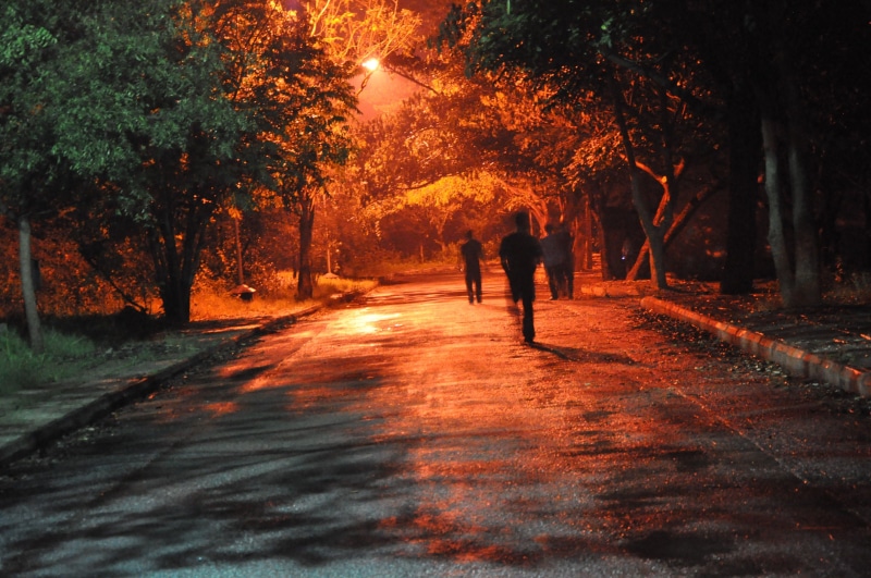 trees, yin, run away, dark, alone, wisdom, real people, yellow, enlightment, full length, horror, hell, couple - relationship, near, lamp, people, man