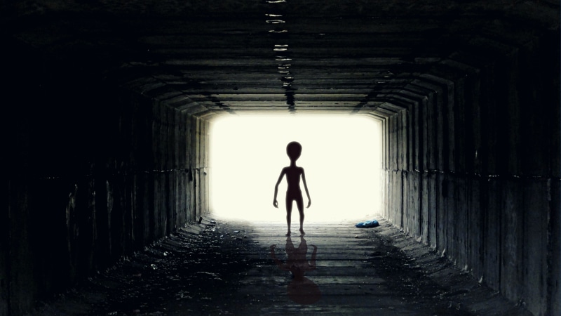 ufoludek, rear view, indoors, light, direction, humanoid, comer, alien, standing, women, day, stranger, built structure, walking, one Person, walking on