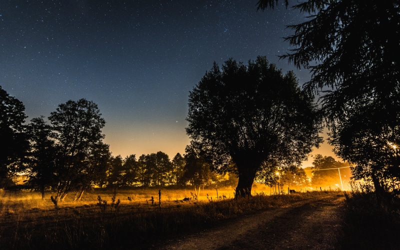 sky, tree, tree  yellow, grass, poland, nature, after dark, astronomy, dark  field, outdoors, d7100, nikon, night sky, star - Space, long exposure, landscape