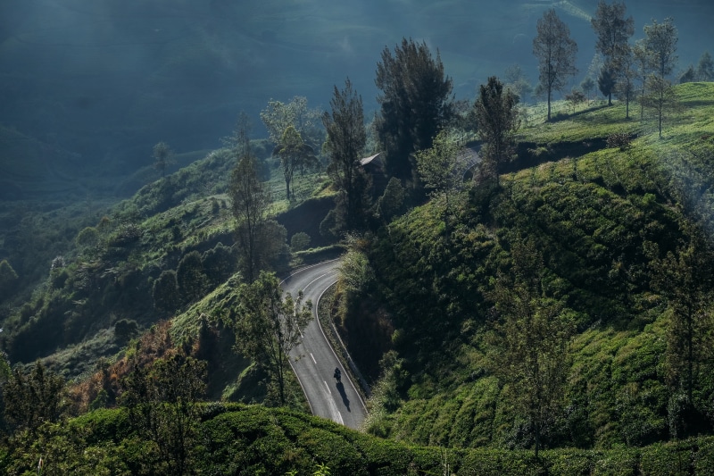 tranquil scene, high angle view, no people, day, lanscape, lush foliage, forest, growth, mountain, mountains, scenics - nature, pangalengan, landscape