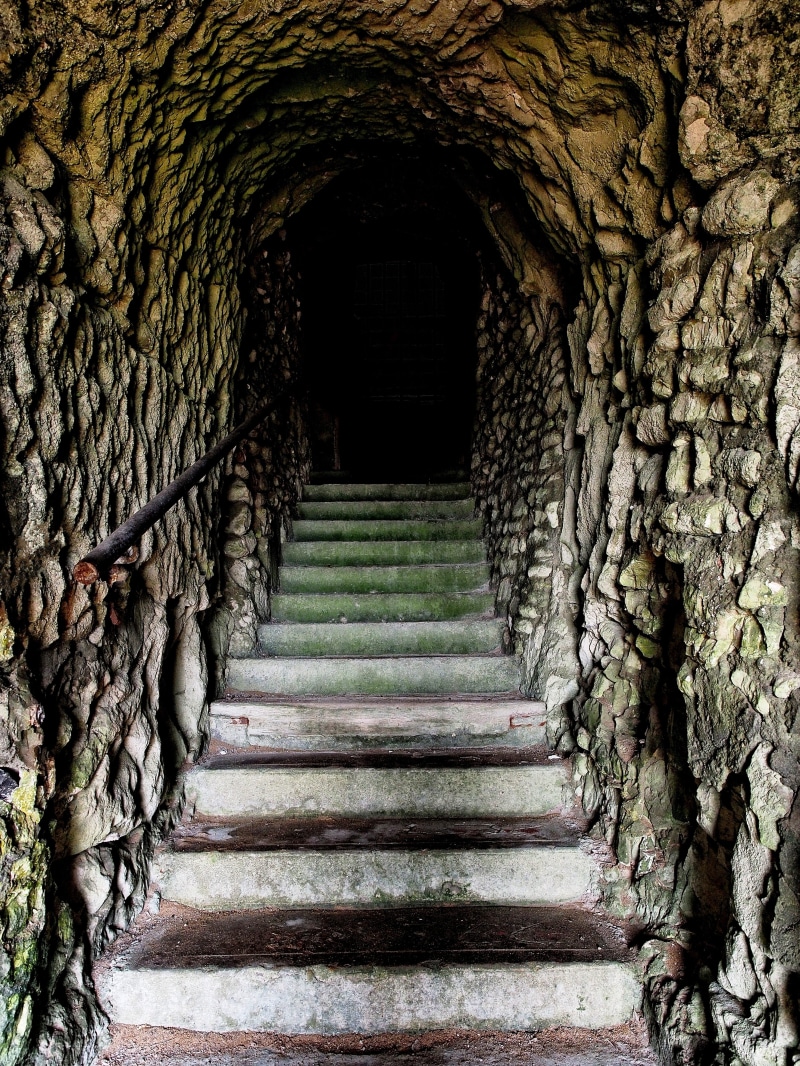 plant, concrete, cave, arch, passage, stone, building, solid, outdoors, direction, history, spelunking, diminishing perspective, up, entrance, underworld