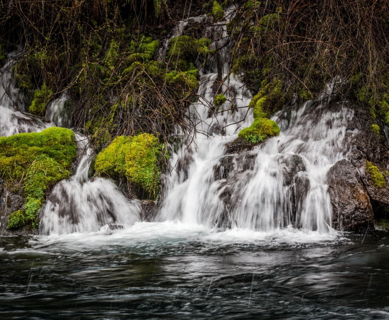 HDR, forest, Oregon, tropical Rainforest, Winter, stream, Canon EOS 6D, Day, postprocessing, waterfalls, lapse, Canon 6D, USM, freshness, Tangled, water