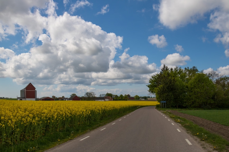 ef, landscape, canola, landskap, mm, scenics, farm, väg, outdoors, 760d, near, empty, fklower, white clouds, geo:location, nature, cloud - Sky, Raps, state