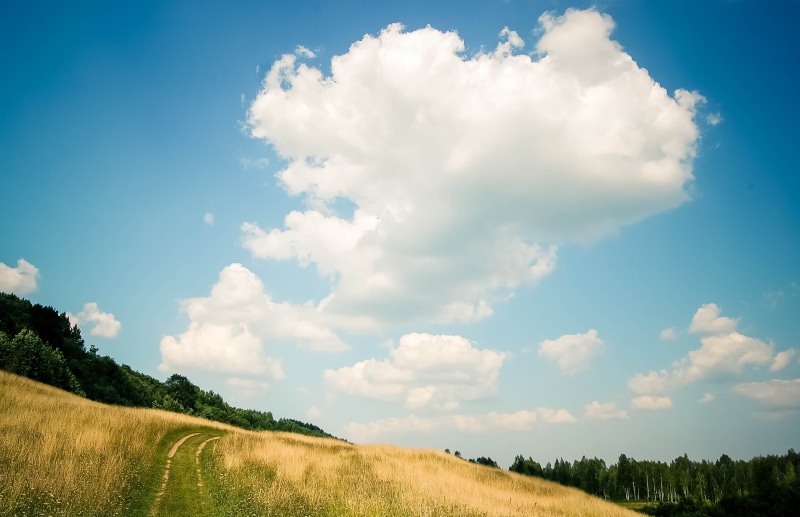 beauty in nature, bright, sunlight, sky, field, summer, russia, sunrise, green, 2K, hill, walking, gras, rural areas, hills, plant, spring landscape, tranquility