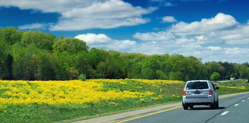 nature, field, summer, sky, daytime, green field, 5K, on road, near, Highway, yellow, grass, Interstate 80, gray, outdoors, flowers, cumulus, clouds, road