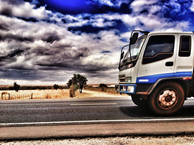 transport, sunlight, mode of transportation, street, logistics, land vehicle, day, landscape, road, plant, vehicle, travel, white, motor vehicle, outdoors
