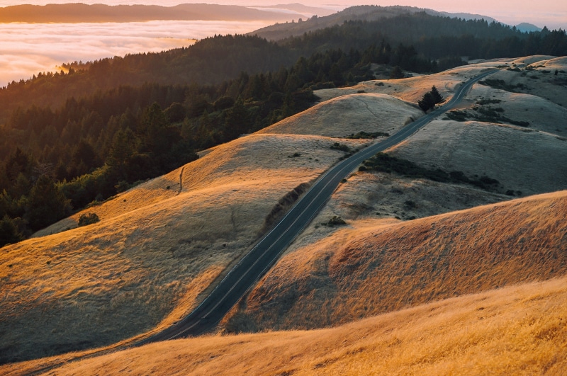 landscape, travel, pine tree, outdoors, journey, 2K, asphalt, land, sunset, sky, mountain range, roadway, nature, aerial, high angle view, beauty in nature