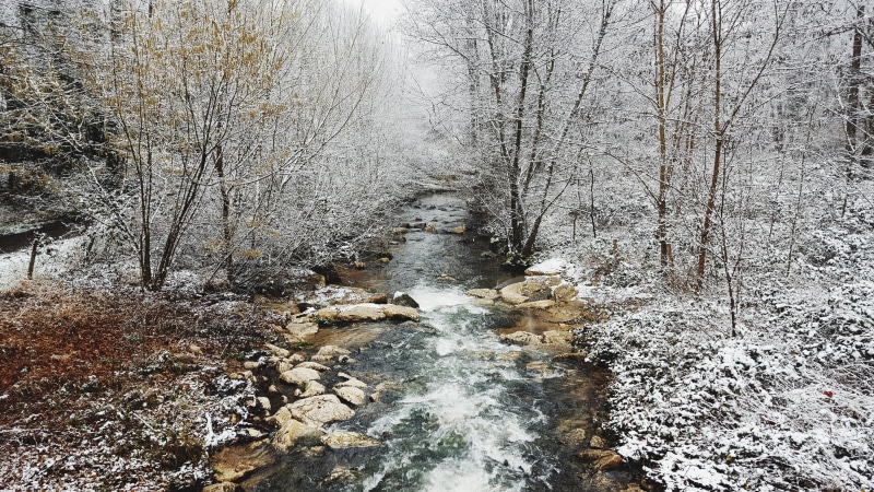 outdoors, beauty in nature, nature, 2K, snow, forest, covered, flowing water, photography, river, no people, winter, flowing, water, plant, trees, bare tree
