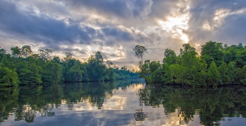 gray, 4K, plant, nature, reflection lake, green, surrounded, located on the island, indonesia, conduit, no people, tree, asahi, scenics - nature, tranquil scene
