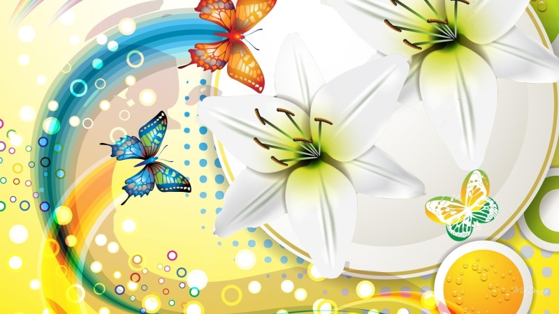 butterflies, fluers, summer, abstract, rainbow, flowers, glow, spring, papillon, abstraction, 1080P, collage, butterfly