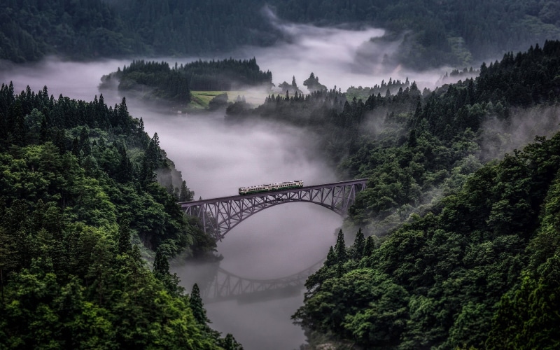 steel, forest, built structure, landscape, growth, transportation, fog, sky, cloud - sky, plant, architecture, bridge, water, bridge - man made structure