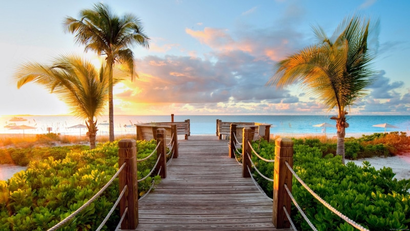 palm, 2K, sunset, ramp, toward, access, sea, pathway, ocean, cloud, beach, brown, landscape, wooden