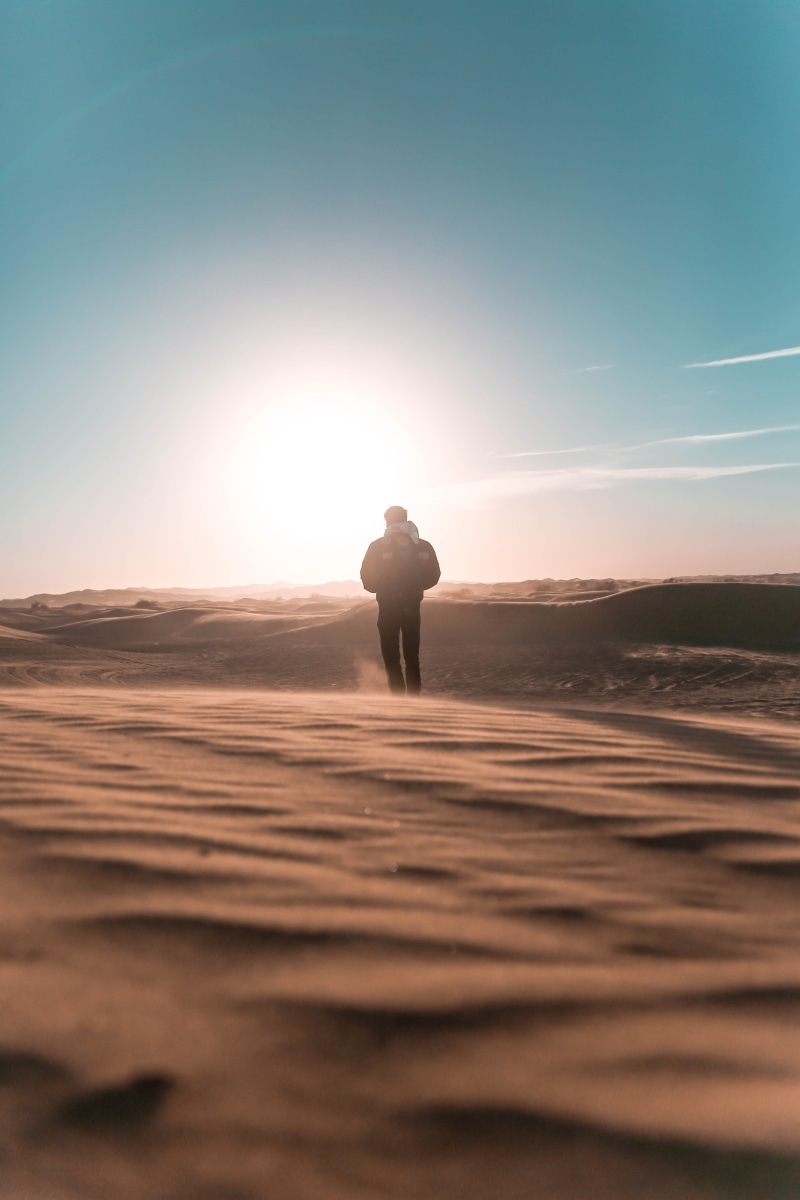 walking, man, land, rear view, sand dune, tranquil scene, leisure activity, desert, 5K, men, beauty in nature, sky, person, sunlight, full length, non-urban scene