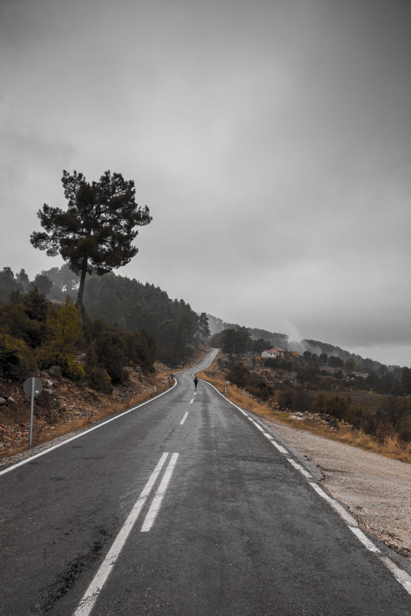walking, go, scenics, curve, tree, rain, travel, hill, uSA, transportation, turn, cloudy, walk, street, line, outdoors, yellow, winter, nature, green, 2K