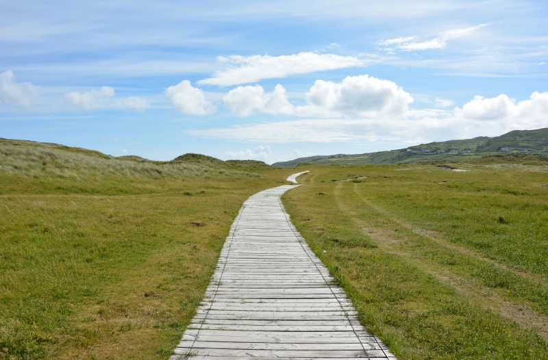 the way forward, nature reserve, sky, green, plant, nature, summer, 5K, green color, no people, cloud - Sky, road, planks, scenics, beauty in nature, diminishing perspective