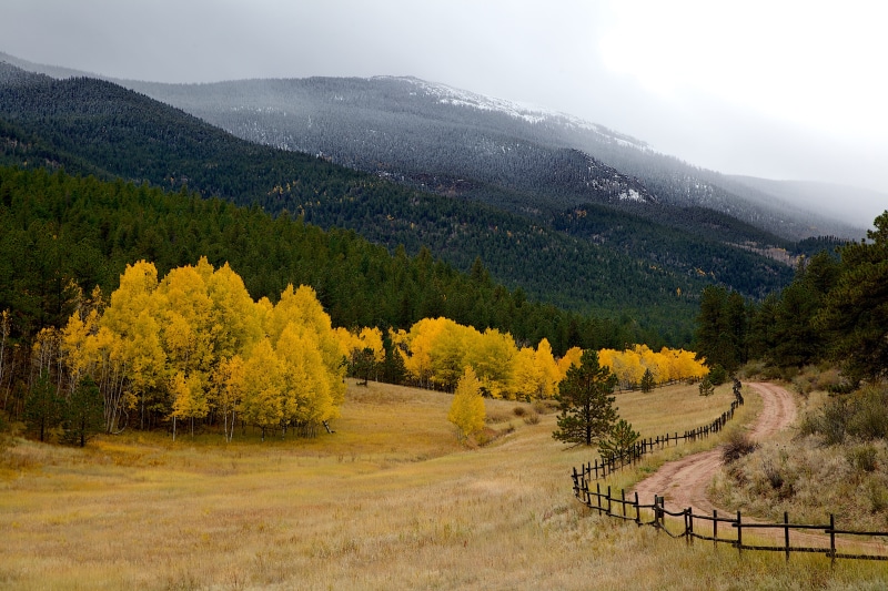 color, yellow, fall, non-Urban Scene, foliage, field, land, woodland, mountain, tranquility, outdoors, environment, green, tree, sky, coniferous tree, mountains