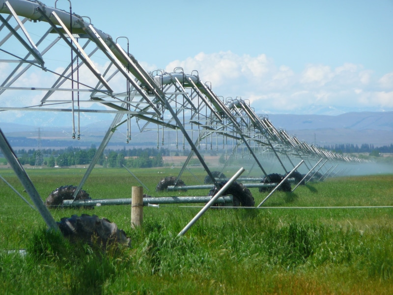 plant, water, outdoors, day, green, cloud - sky, rural Scene, sprinkler, irrigate, sprayer, line, grass, field, agriculture, spraying, irrigation, nature