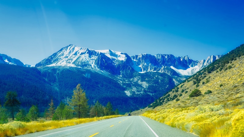 mountain, hill, daylight, 4K, environment, tranquility, diminishing perspective, trees, plant, the way forward, valley, direction, woods, country road