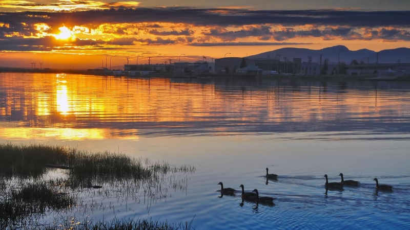 skies, scenic, sun, mountains, sunset, majestic, towards, lake, 1080P, beautifulm scene, water, nature, wild life, ducks, body