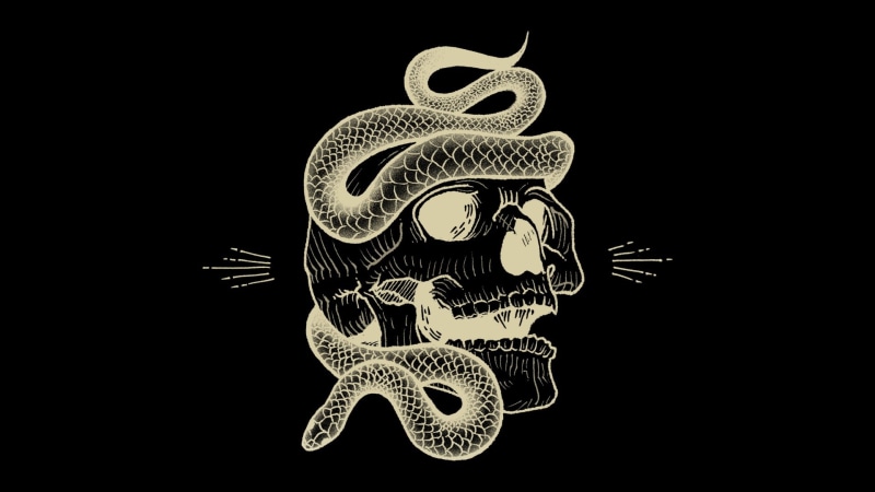 Cover, Monstercat, Sullivan King, 1080P, Music, Vantablack, Dirtyphonics