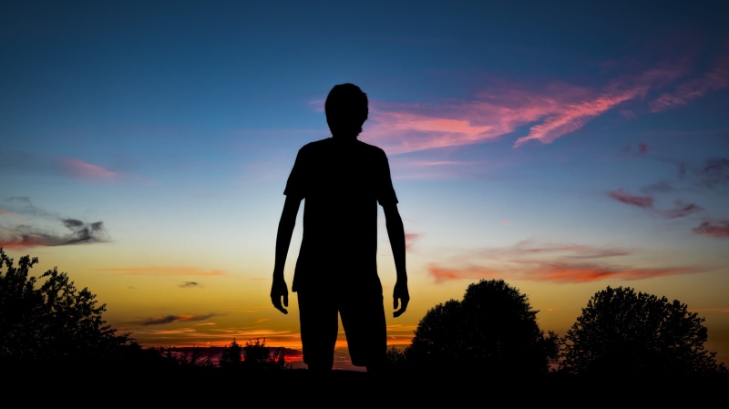 website, Person, cloud - sky, symbol, nature, looking at view, one person, 5K, idyllic, evening, romantic, lonely, men, beauty in nature, light, head