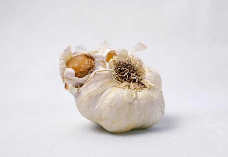 unfit for human consumption, product photo, bad garlic, indoors, no people, freshness, taste, white, food, vegetable, wellbeing, spice, not fresh, of course