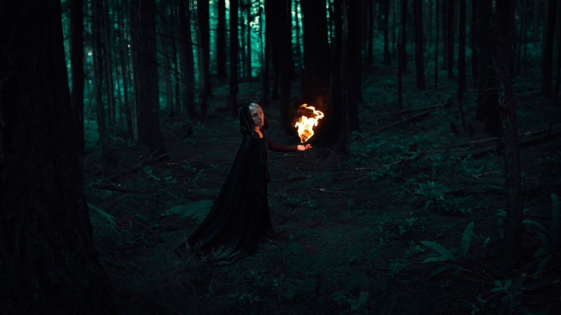 forest, fantasy, plant, fairy tale, beautiful woman, clothing, adult, woodland, 1080P, women, tree, nature, dress, tree trunk, trunk, dark, cloaks, fashion