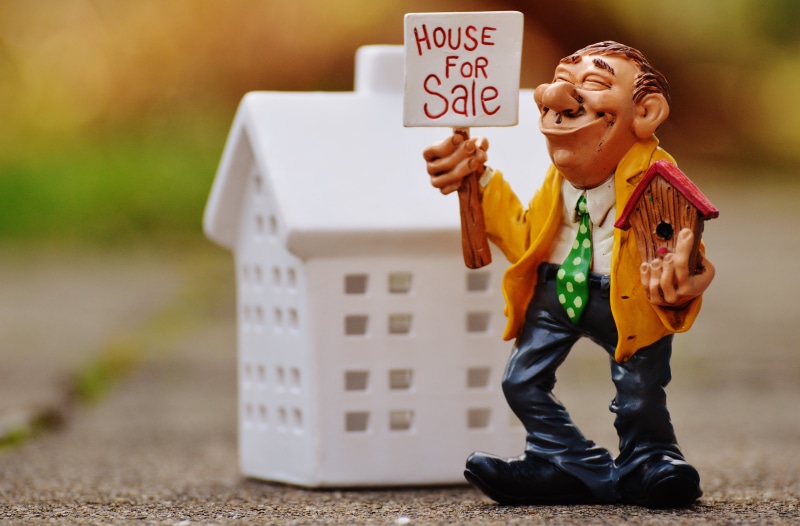 house, childhood, small, cheerful, sell, commitment, positive emotion, males, aviary, profession, men, service, communication, offspring, outdoors, figure