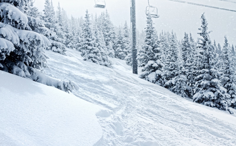 tree, blizzard, evergreen tree, woodland, shred, cold temperature, white color, mountain, non-urban scene, Cold, Sport, pine tree, nature, tranquility
