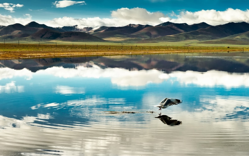 China, Flight, Bird, 1080P, Mountains, Tibet, Lake, Clouds