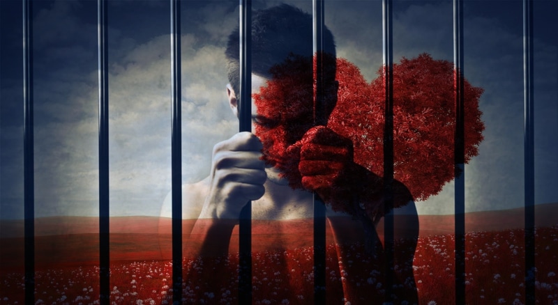 man, tree, window, nature, sky, reflection, casual clothing, leisure activity, red, digital composite, sadness, women, sad, glass - material, outdoors