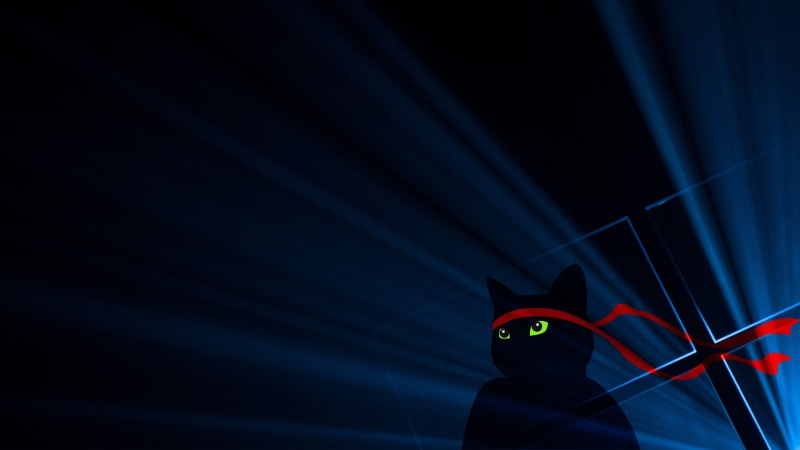 Anniversary, Ninjacat, Windows, k, 4K
