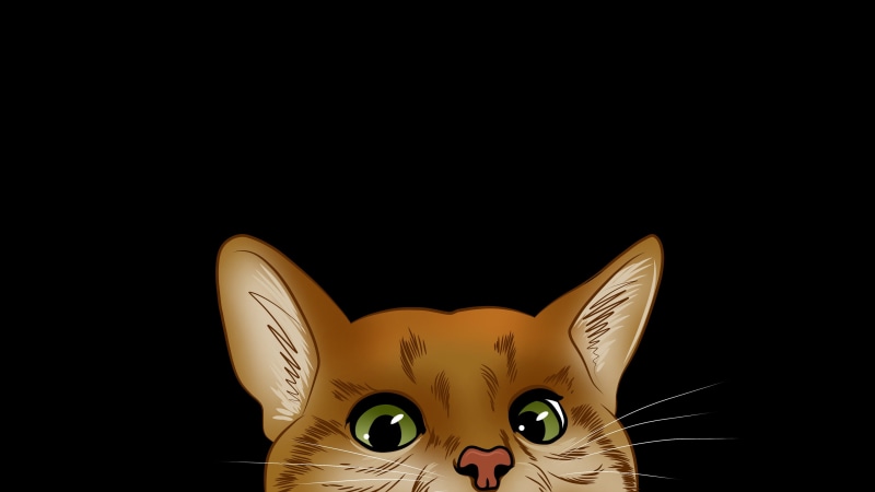 peek, cat, peep, peeping, kitten, peeking, green eyes, whiskers, cartoon, 4K