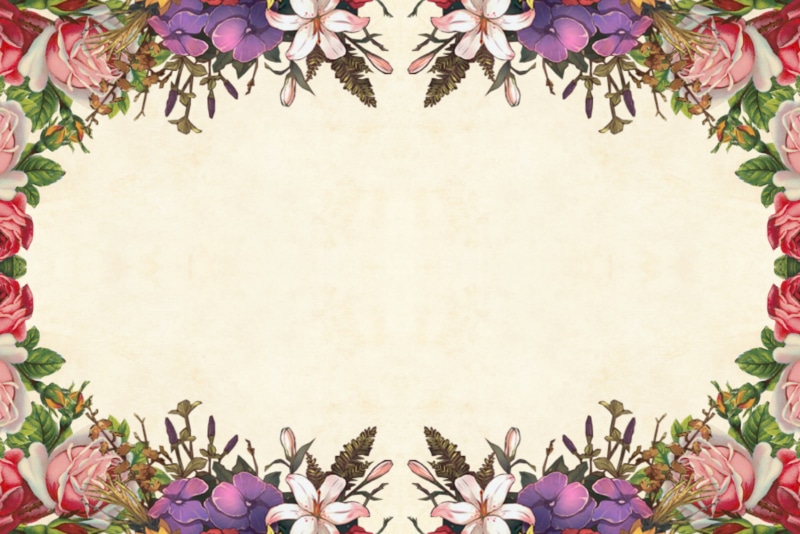 frame, growth, faded, purple, leaf, flower arrangement, oldfashioned, flowering plant, paper, plant, plant part, nature, close-up, floral pattern, 2K