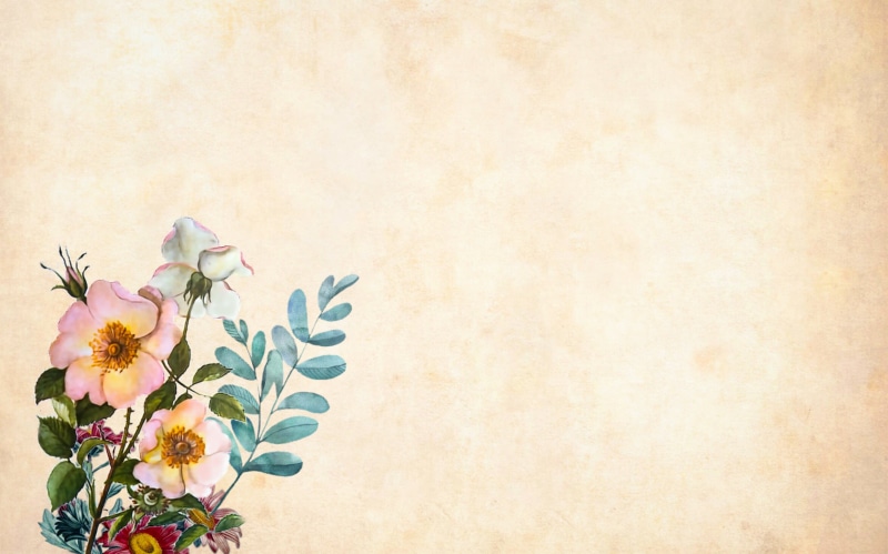 print, nostalgic, floral, flower, studio shot, paper, indoors, vulnerability, vintage, freshness, style, antique, no people, beige background, nature, beauty in nature
