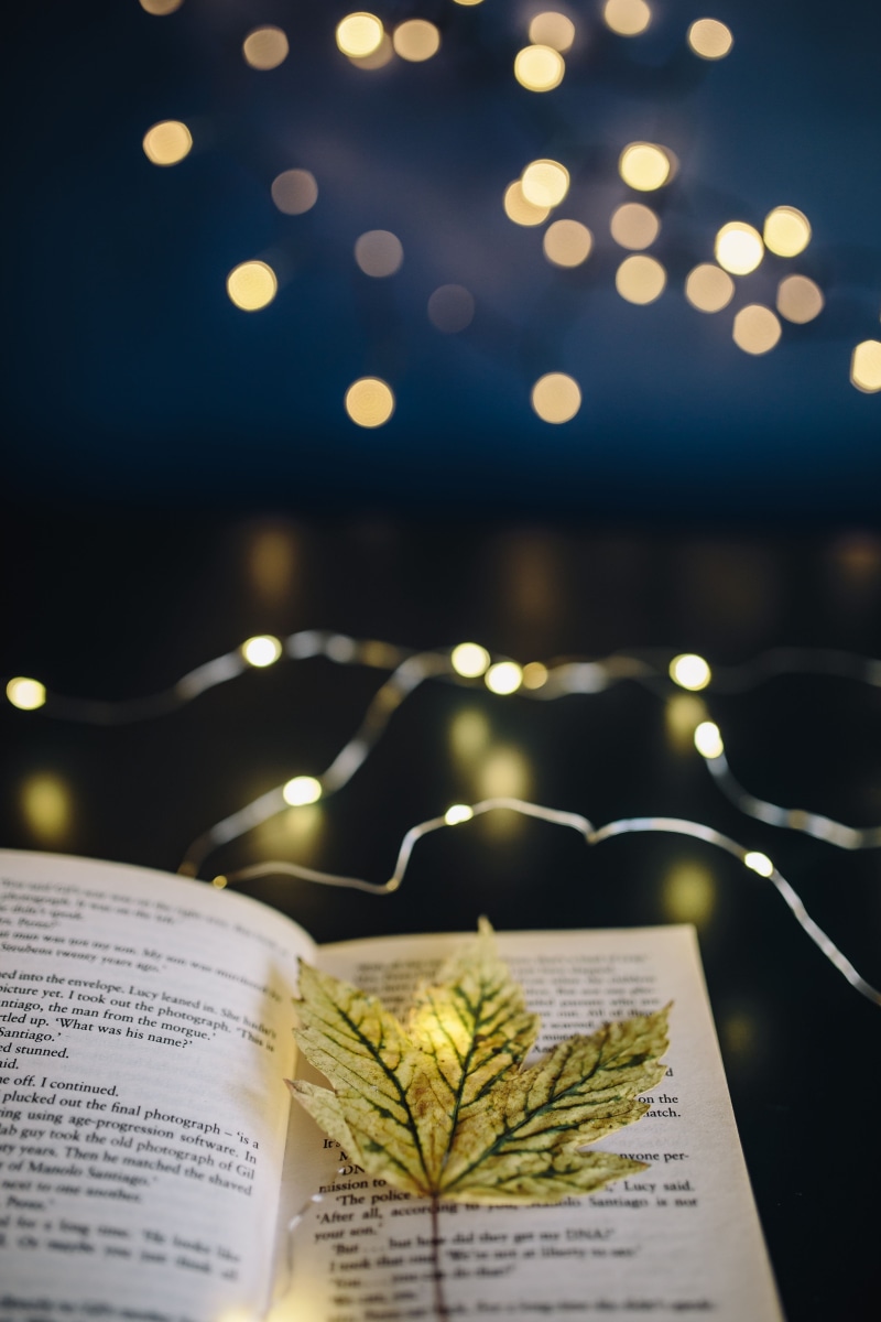 education, open, no people, spirituality, making, fairy, bokeh, focus on foreground, close-up, book, time, paper, selective focus, bible, celebration, christmas