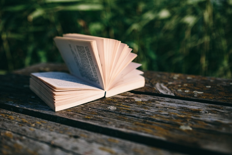 day, table, wood - material, old, education, lake, wisdom, library, paper, novel, magic hour, resting, nature, opened book, summer, publication, relaxing