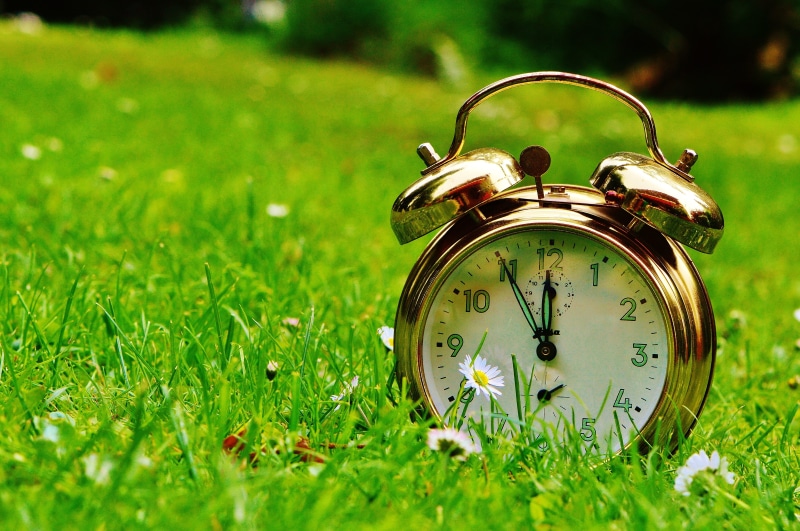 time of, meadow, minute hand, green color, field, the eleventh hour, hours, instrument of time, selective focus, day, no people, land, plain, 4K, single object