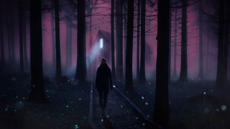 light, foggy, night, fantasy art, glowworm, scene, house, human, purple, creepy, forest, woodland, firefly, midnight, 1080P, twilight, silhouette, trees