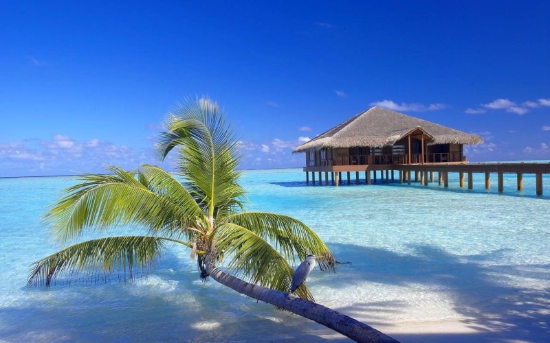 tranquility, walkway, tourist resort, 720P, trip, Maldives, built structure, tranquil scene, beach, tropical, luxury, nature, brown, sand, sea, turquoise colored