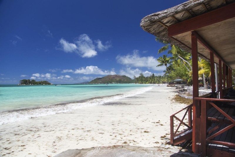 outdoors, brown, horizon over water, cloud - sky, tranquility, wooden, no people, tree, land, tranquil scene, beach, sky, water, palm trees, vacations