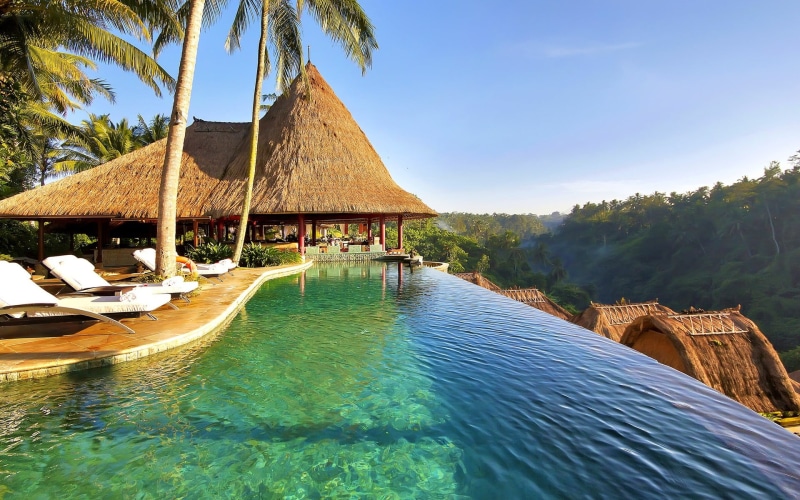 roof, tree, plant, swimming pool, landscape, exotic, palm trees, architecture, built structure, forest, tropical, 1080P, palm tree, outdoors, idyllic