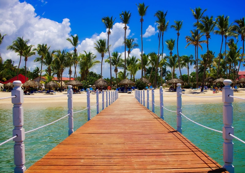 seashore, water, land, trees, tropical tree, sky, relaxation, plant, tree, palm trees, paradise, leisure, tropical, ocean, growth, 1080P, beach, tourism