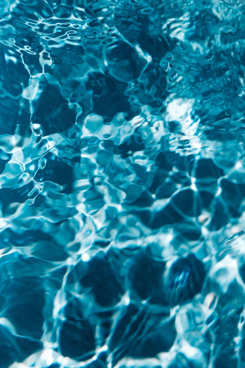 no people, turquoise colored, group of animals, large group of animals, day, vertebrate, reflection, surface, pool, swimming, outdoors, animal themes, backgrounds