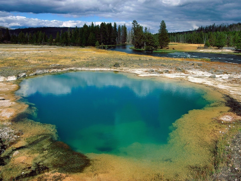 water, lake, outdoors, forest, scenics - nature, hot spring, plant, nature, pine woodland, cloud - sky, Yellowstone National Park, Morning Glory Pool, landscape