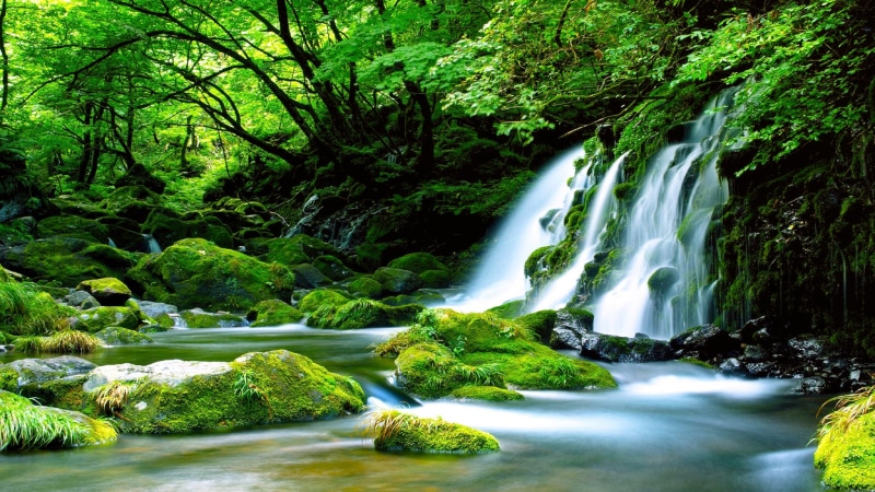 waterfall, green, definition, forest, covered, hd, river, moss, 4K, high, rocks