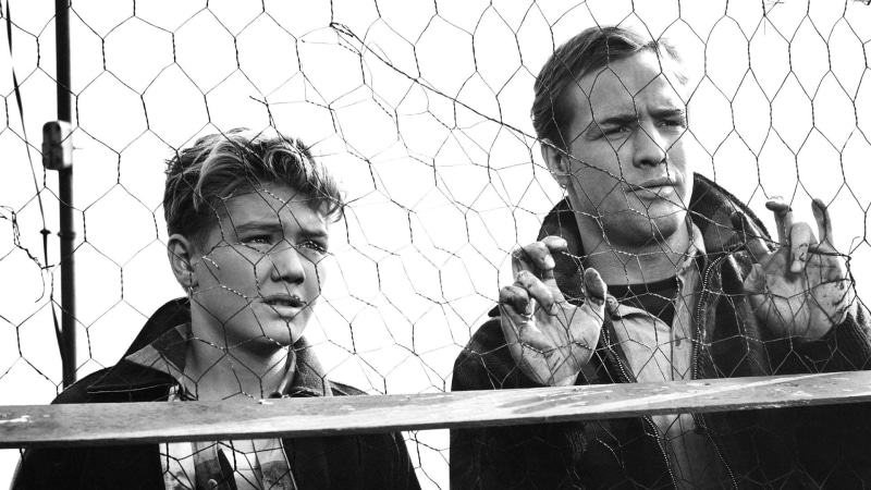 On the Waterfront, Marlon Brando, 1080P, Movie